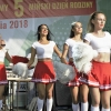 Piknik 02.09.2018