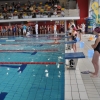 IV Grand Prix w pływaniu 12.01.2014