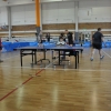 23.04.2016